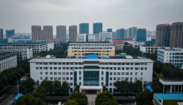 软件开发中的系统运维与技术支持适用情况及限制